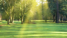Bryan Lee Funeral Homes